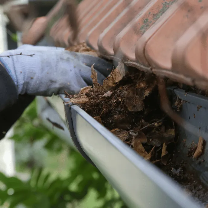 nettoyage de gouttières à digne les bains